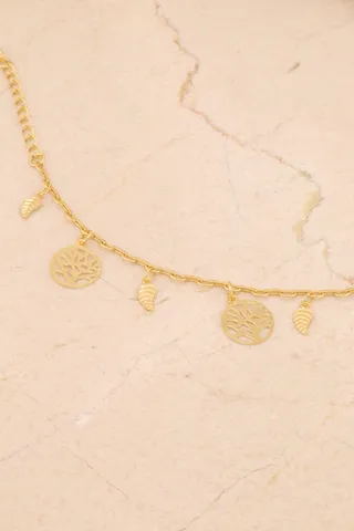 PULSEIRA ÁRVORE DA VIDA